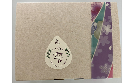 ＜ギフト箱入り＞いちじくの雫 10個入り 個包装 無添加 F4H-0298