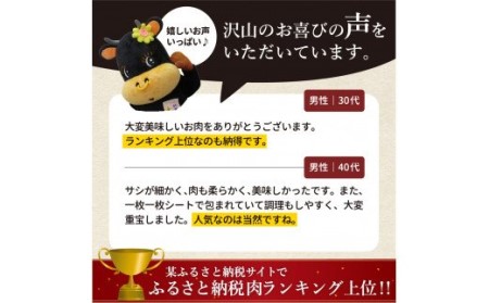 伊万里牛 A5 モモスライス すき焼き 焼肉用 800g 001-J1848