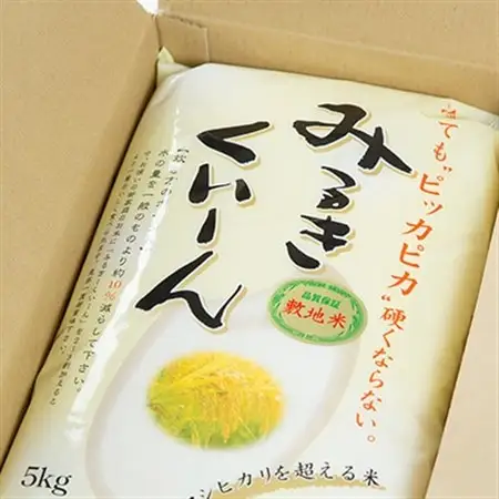 磐田産ミルキークイーン5kg_ 精米 米    ミルキークィーン 米 みるきーくいーん ミルキークイーン_【1429081】