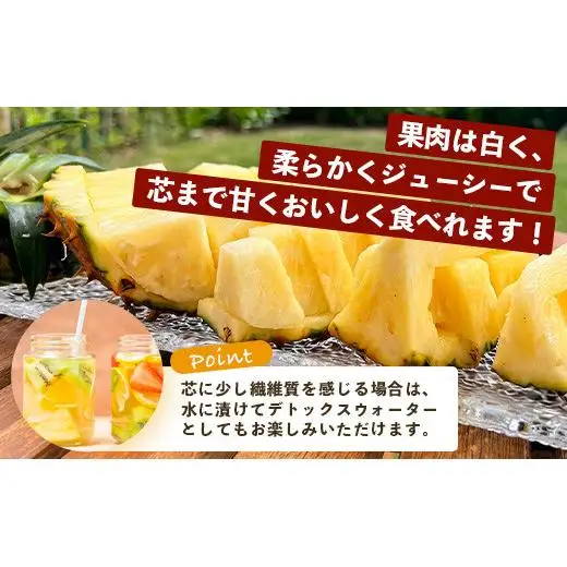 【先行予約】石垣島産パイナップル ピーチパイン3個セットTF-1-1_R8