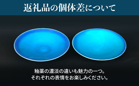 【美濃焼】 パスタ皿 2点 セット (マット) 【東山窯】食器 深皿 [TDU018]