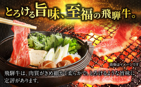 飛騨牛切り落としすき焼き＆焼肉800g 飛騨牛 切り落とし[ANBO019]