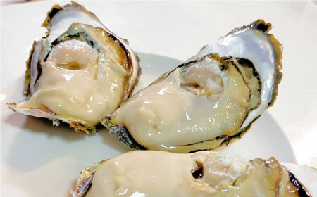 魚介 漁師直送！旬の高級海産物詰め合わせ(30,000円相当) 冷凍 島根県松江市/株式会社永幸丸[ALFM001] 魚介 魚介