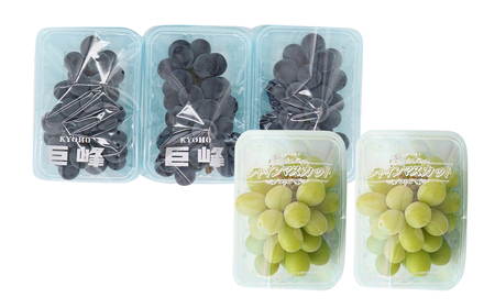 ご家庭用 旬のぶどう食べ比べ 完熟巨峰 シャインマスカット 詰め合わせ 計5パック 約1.5kg 【2026年8月下旬～9月下旬迄発送予定】ぶどう 葡萄 ブドウ 果物 フルーツ