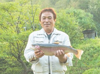 北海道 国産ドナルドサーモン(生食用) 800g  鮭 サーモン 人気サーモン サケ 国産サーモン 冷凍 小分け 鮭 北海道サーモン