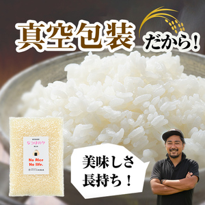 極うなぎ蒲焼き2尾(計260g以上)と真空包装米なつほのか(計300g・1合相当×2P) うなぎ 鰻 ウナギ 2尾 国産 鹿児島県産 蒲焼き 冷凍 うな重 ひつまぶし タレ 山椒  米 真空 真空包装 a6-056