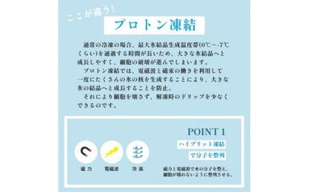 国産 うなぎ 蒲焼 2尾 特製ダレ付 冷凍 海鮮 魚介 京都 舞鶴 鰻 蒲焼 蒲焼き かば焼き 国産うなぎ 国産鰻 土用 丑の日 うしのひ うな重 うな丼 ひつまぶし 土用の丑の日 タレ付き