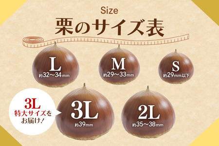 アカツファーム の ぽろたん（ 生栗 ） 特大 3Lサイズ 2kg GA-014