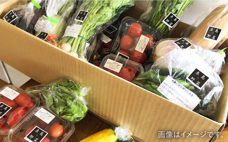 【全3回定期便】旬を味わう 糸島 野菜 セット 10〜14種 （14パック） / イタリア野菜 オーガニック 野菜ソムリエ 松永 糸島市 / vegeLabo [AJB004]