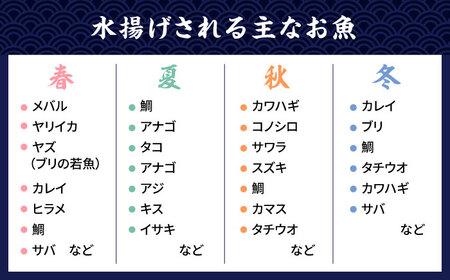 【全6回定期便】塩 にも こだわり 玄海 の 海 旬 の 干物 大満足 セット ( 5?6人 向け ) 糸島市 / 福ふくの里 [ALD009]