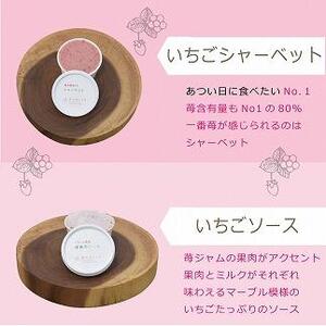アイス 越後姫アイスギフト 6個 セット 越後姫 アイスクリーム ギフト 詰め合わせ 冷凍 新潟