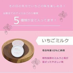 アイス 越後姫アイスギフト 12個 セット 越後姫 アイスクリーム ギフト 詰め合わせ 冷凍 新潟