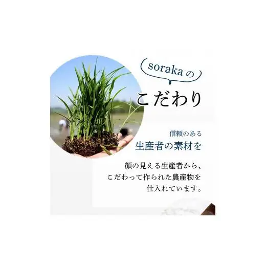 岩見沢産米粉使用、グルテンフリー製法のエクレアお任せ15本詰め合わせ【24026】