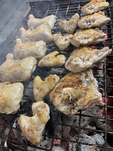 とりせい 炭焼き若どり 3人前セット(冷凍) 鶏肉 とり 鳥肉 とりにく トリニク 焼き鳥