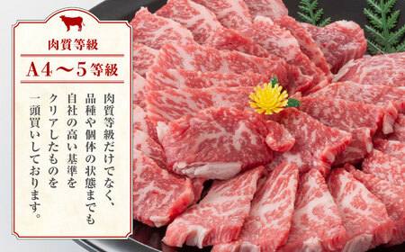 【12回定期便】熊本県産 黒毛和牛 もも 食べ比べ セット 約1kg【九州食肉産業】ブロック 薄切り 焼き肉  [ZDQ058]