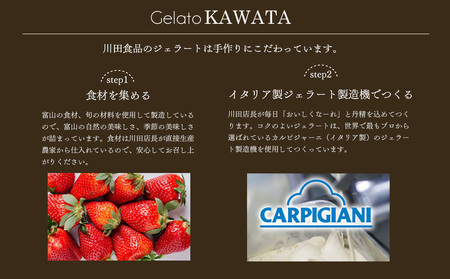 【Himi Gelato】訳ありジェラート２L ブルーベリー　ジェラート