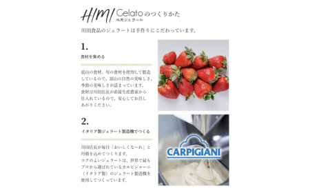 【6ヶ月定期便】【Himi Gelato】訳ありジェラート２Lチョコレート　ジェラート