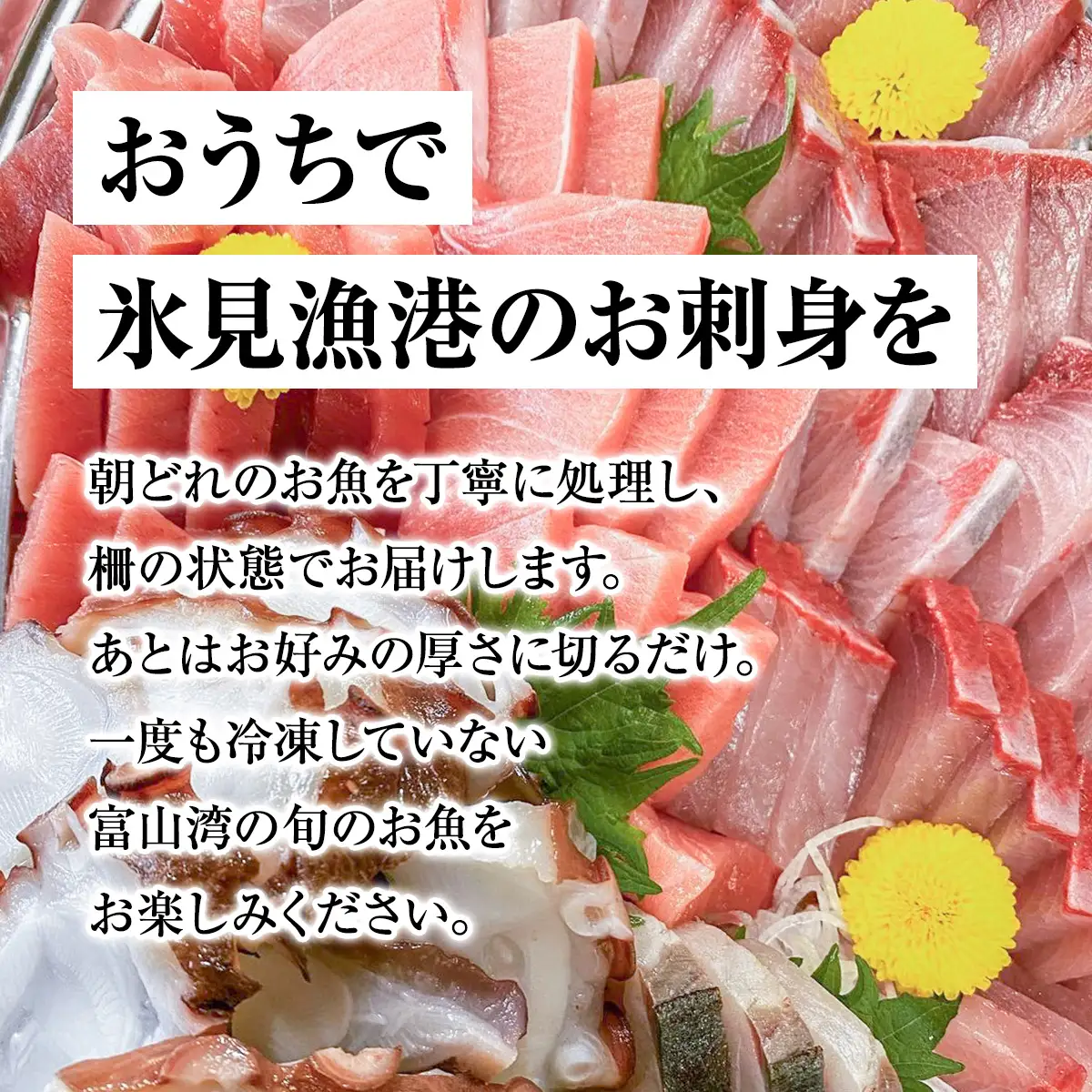 【配送地域限定】 産地直送の朝どれ鮮魚お刺身セット 2〜３人前 お届け指定なし
