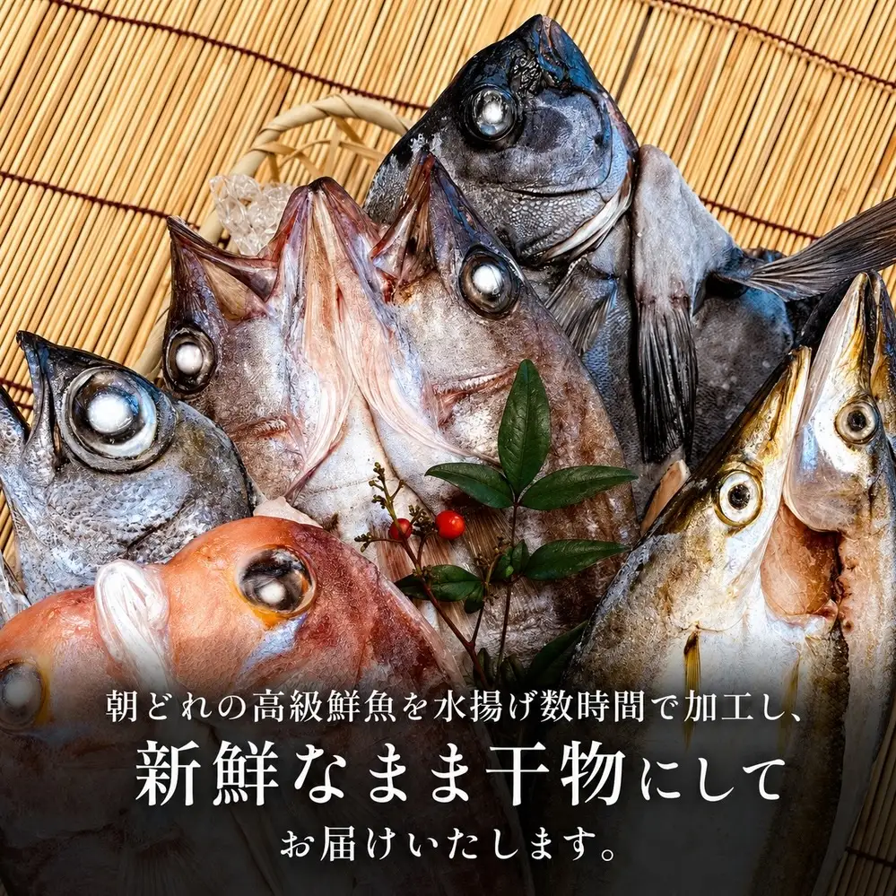 【完全受注生産】 本物のこだわり！半七の干物セット 贅 -Zei- 〈冷凍〉｜ 高級 干物セット 添加物不使用