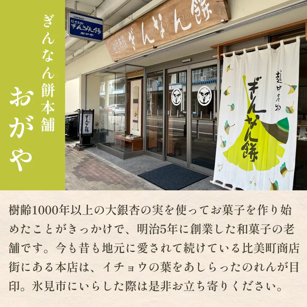 和菓子詰め合わせ2種（餅、最中）セット ぎんなん餅本舗おがや 富山県 氷見市 和菓子 銀杏 餅 最中 お茶請け 詰め合わせ 冠婚葬祭 ギフト プレゼント 和菓子詰め合わせ