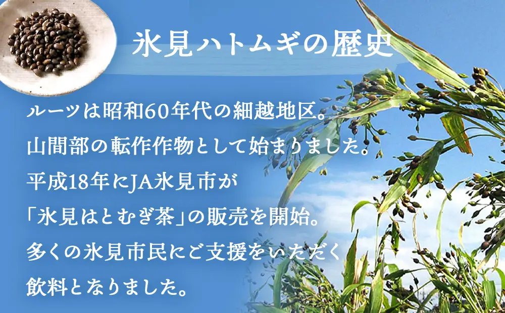 【6回定期便】氷見はとむぎ茶 ペットボトル 350ml×24本 