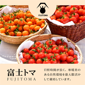 無添加のフルーツトマトジャム　FUJITOMAジャム