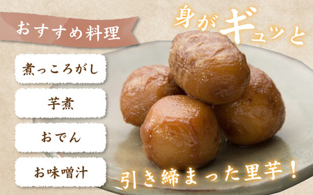 【先行予約】【訳あり】越前大野産 「純ちゃん農園の里芋3kg」サイズS～LL寸【10月中旬より順次発送】