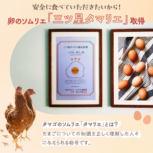 【定期便（３カ月）】小久保ファーム　濃厚卵黄　産みたてたまご　赤玉30個入り（M玉） ※着日指定不可 _EI04