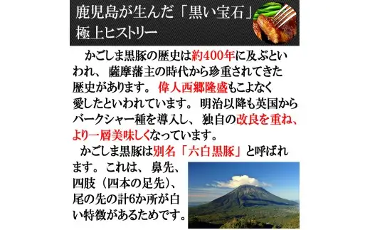【25-28】鹿児島黒豚厚切りロースとんかつ 150g×3枚　スエヒロ家