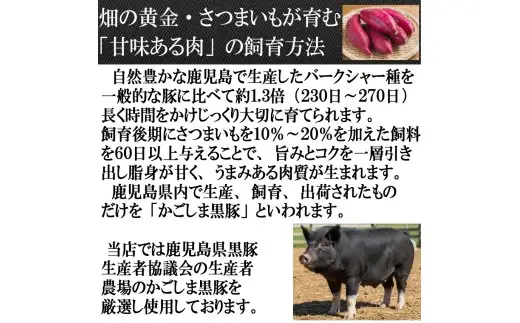 【25-32】鹿児島黒豚100%手作りハンバーグ 110g×4個（冷凍）スエヒロ家