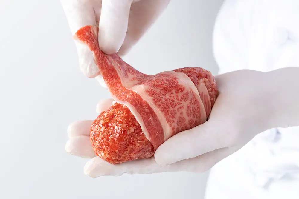 ハンバーグ 近江牛 包み 150g×3個 デミグラスソース ブランド 牛肉 黒毛和牛 【 近江牛 】 Y125W