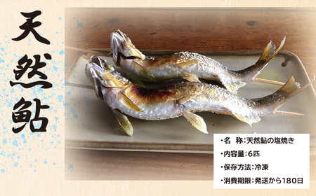 天然鮎 の 塩焼き 6匹 ( あかねや ) ＜ 冷凍 ＞ 