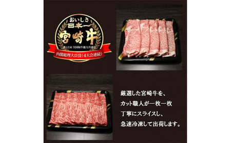 宮崎牛すき焼きしゃぶしゃぶ用赤身肉＆霜降りスライス肉(700g) 黒毛和牛2種詰め合わせセット TF0614-P00020