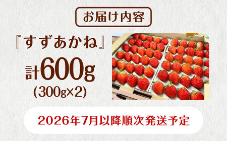 先行予約 26年7月以降発送 夏秋イチゴ すずあかね 計600g  夏いちご 生 苺 四季成り 北海道 [AXBT003]