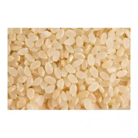 【令和7年産】コシヒカリ　玄米5kg【1443652】
