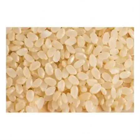 【令和7年産】コシヒカリ　玄米5kg×2袋　計10kg【1443662】