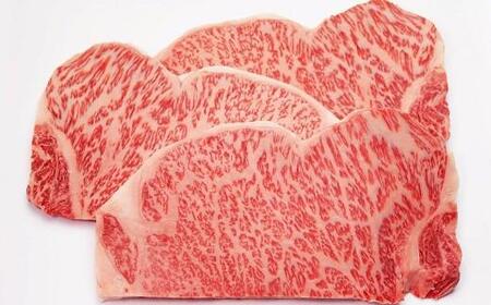丹波牛 A5サーロインステーキ600g（牛肉ステーキ ステーキ肉 和牛ステーキ 肉ステーキ）