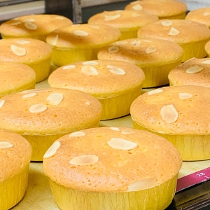 寝屋川市育ちのパティシエが作る「のうこうチョコパウンドケーキ(チョコチップ入り)、パン・ド・ジェーヌ」詰め合わせ [0618]