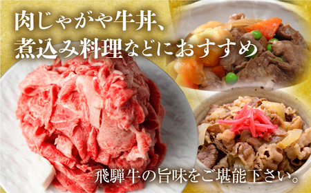 訳あり 飛騨牛 切落し 700g 牛肉 訳あり [S541]