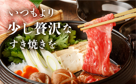訳あり 飛騨牛 すき焼き用 切落し 600g 訳あり [S545]