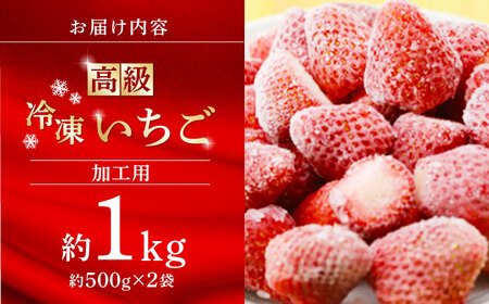 高級 冷凍  いちご 加工用 約1kg（約500g×2袋）【伊藤農園】 果物 フルーツ イチゴ 苺 熊本県 特産品 オーガニック 有機いちご 恋みのり 冷凍 九州 加工用 [ZBB003]