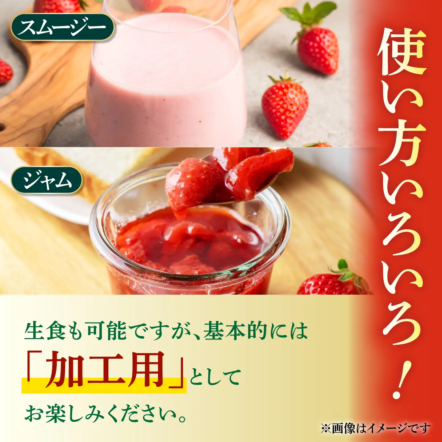 訳あり加工用いちご先行予約 恋みのり約1㎏苺いちごストロベリーイチゴ