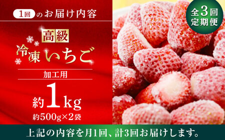 【3回定期便】高級 冷凍  いちご 加工用 約1kg（約500g×2袋）【伊藤農園】 果物 フルーツ イチゴ いちご 苺 熊本県 特産品 オーガニック 有機 恋みのり 冷凍 [ZBB015]