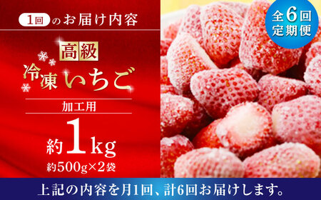 【6回定期便】高級 冷凍  いちご 加工用 約1kg（約500g×2袋）【伊藤農園】  果物 フルーツ イチゴ いちご 苺 熊本県 特産品 オーガニック 有機 恋みのり 冷凍 [ZBB016]