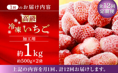 【12回定期便】高級 冷凍  いちご 加工用 約1kg（約500g×2袋）【伊藤農園】 果物 フルーツ イチゴ いちご 苺 熊本県 特産品 オーガニック 有機 恋みのり 冷凍 [ZBB017]