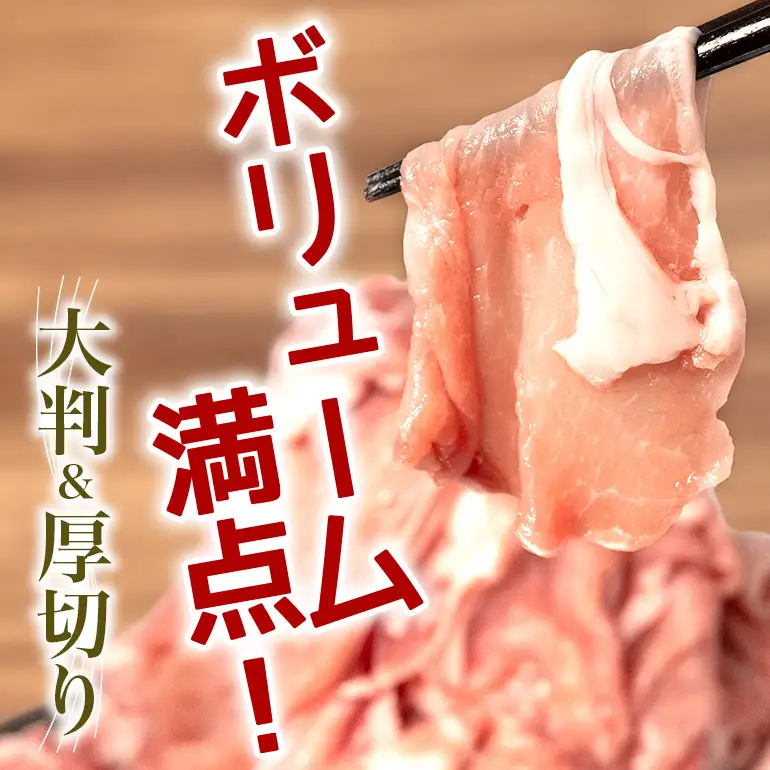 豚肉 切り落とし 2.5kgセット 小分け 500g×5 訳あり 67-2