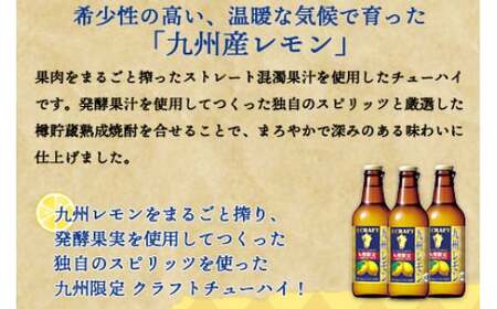 ＜九州限定 寶CRAFT クラフトチューハイ 九州レモン 330ml×12本＞※入金確認後、翌月末迄に順次出荷します。【c255_kr_x2】