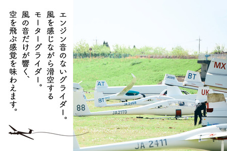 日本グライダークラブ 利用券  9,000円 チケット グライダー 体験