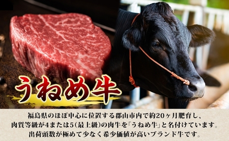 うねめ牛 サーロイン ステーキ用 150g 5枚 福島県産 和牛 黒毛和牛 ステーキ 牛肉 牛 お肉 国産 ブランド牛 上質 鉄板 料理 焼肉 贅沢 お取り寄せ ギフト 鈴畜中央ミート 冷凍 福島県 郡山市