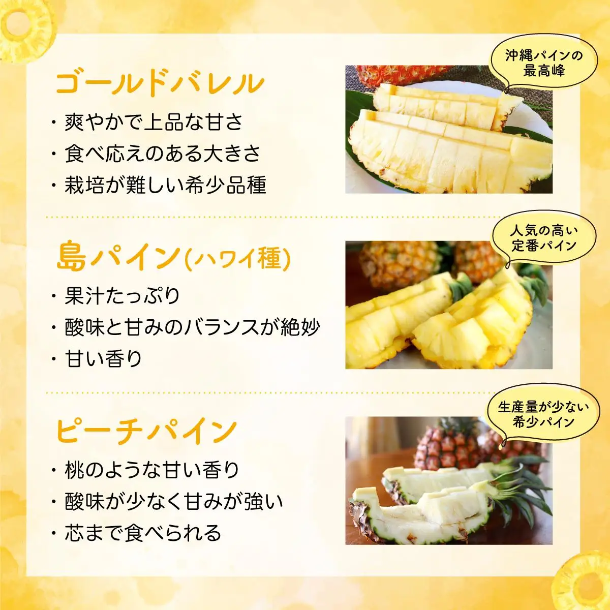 セット パイン 約1.5kg マンゴー 約1kg 